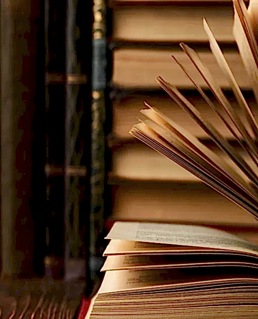 gemlikavukatlikburosu gemlikavukatlikburosu